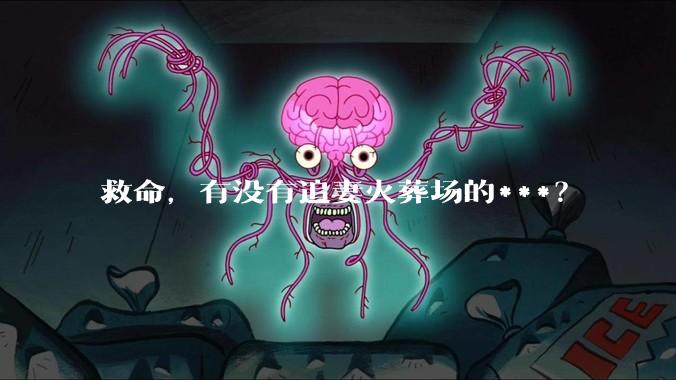 救命，有没有追妻火葬场的***？